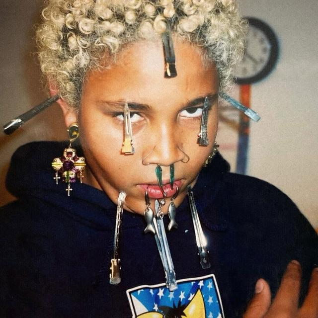 Album cover art for LET'S DO SOMETHING STUPID!